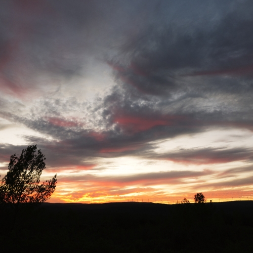 shutterstock 728044795