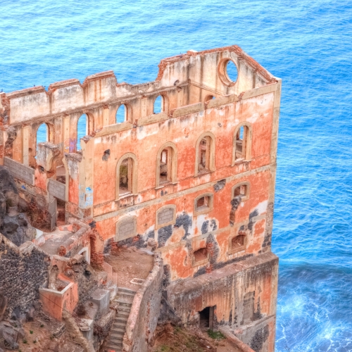 shutterstock 774754333 - Los Realejos