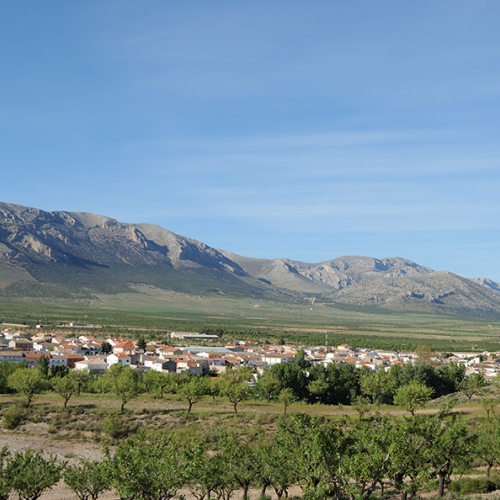 shutterstock 1722761716