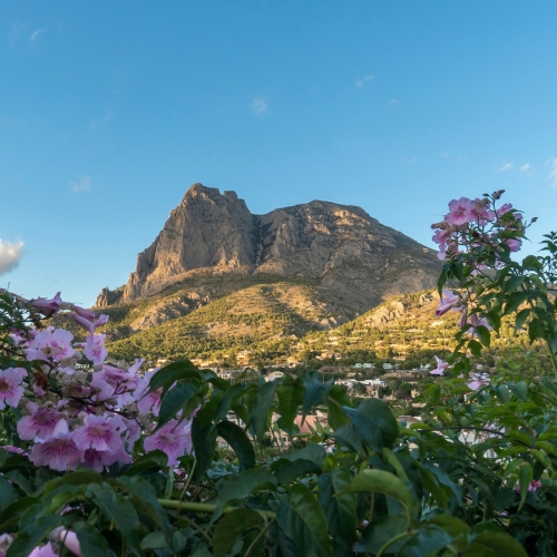 Shutterstock_2025331445