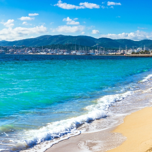 Shutterstock_615296918