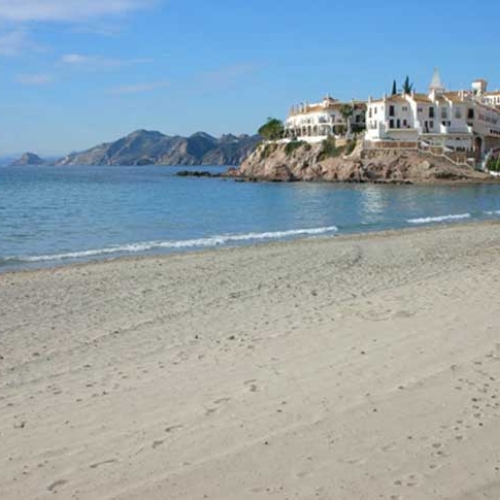Calabardina