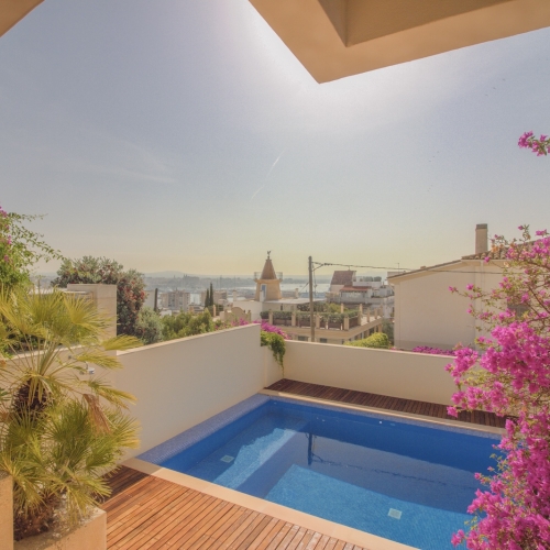 Palma