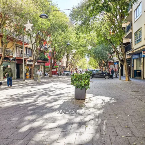 Palma