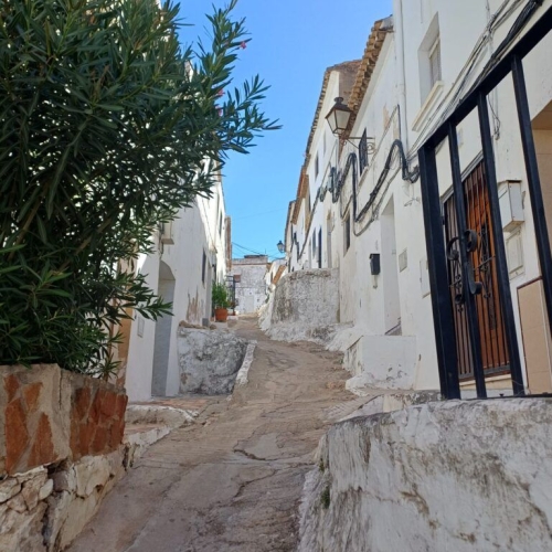 oliva
