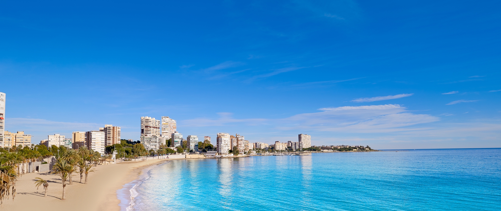 shutterstock 1288958758