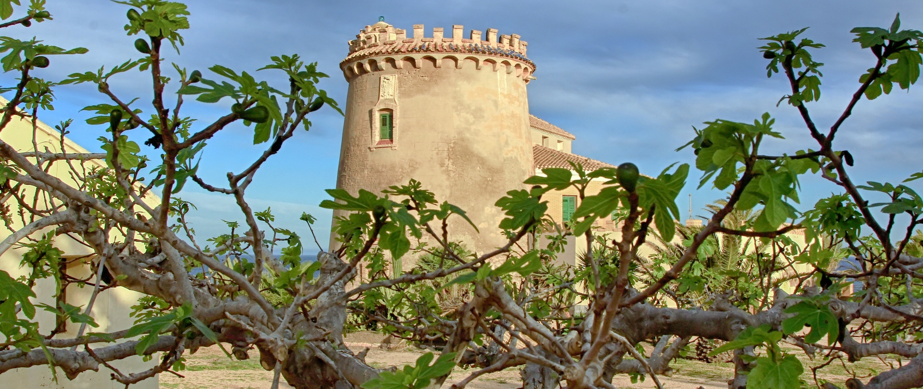 shutterstock 147215240