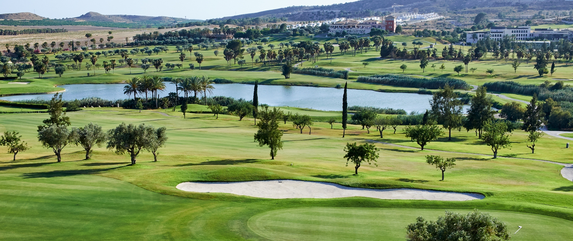 shutterstock 616957586 - Algorfa